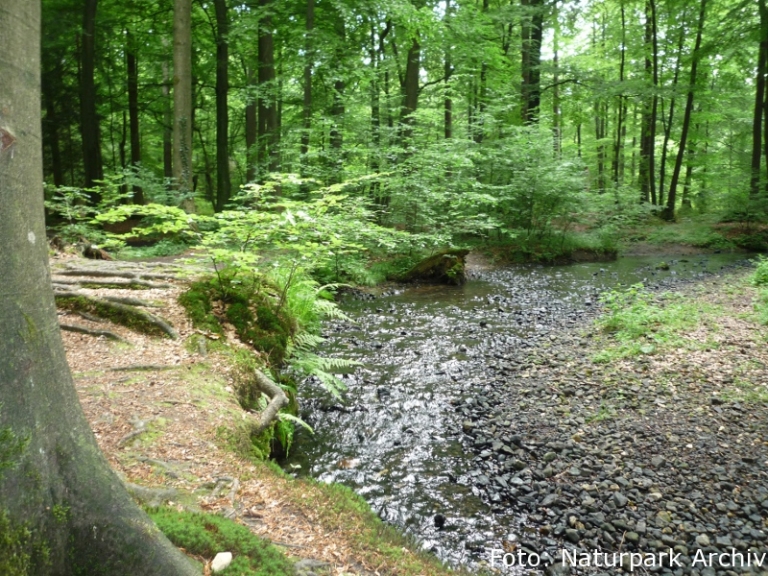 Silberbachtal Silberbachtal