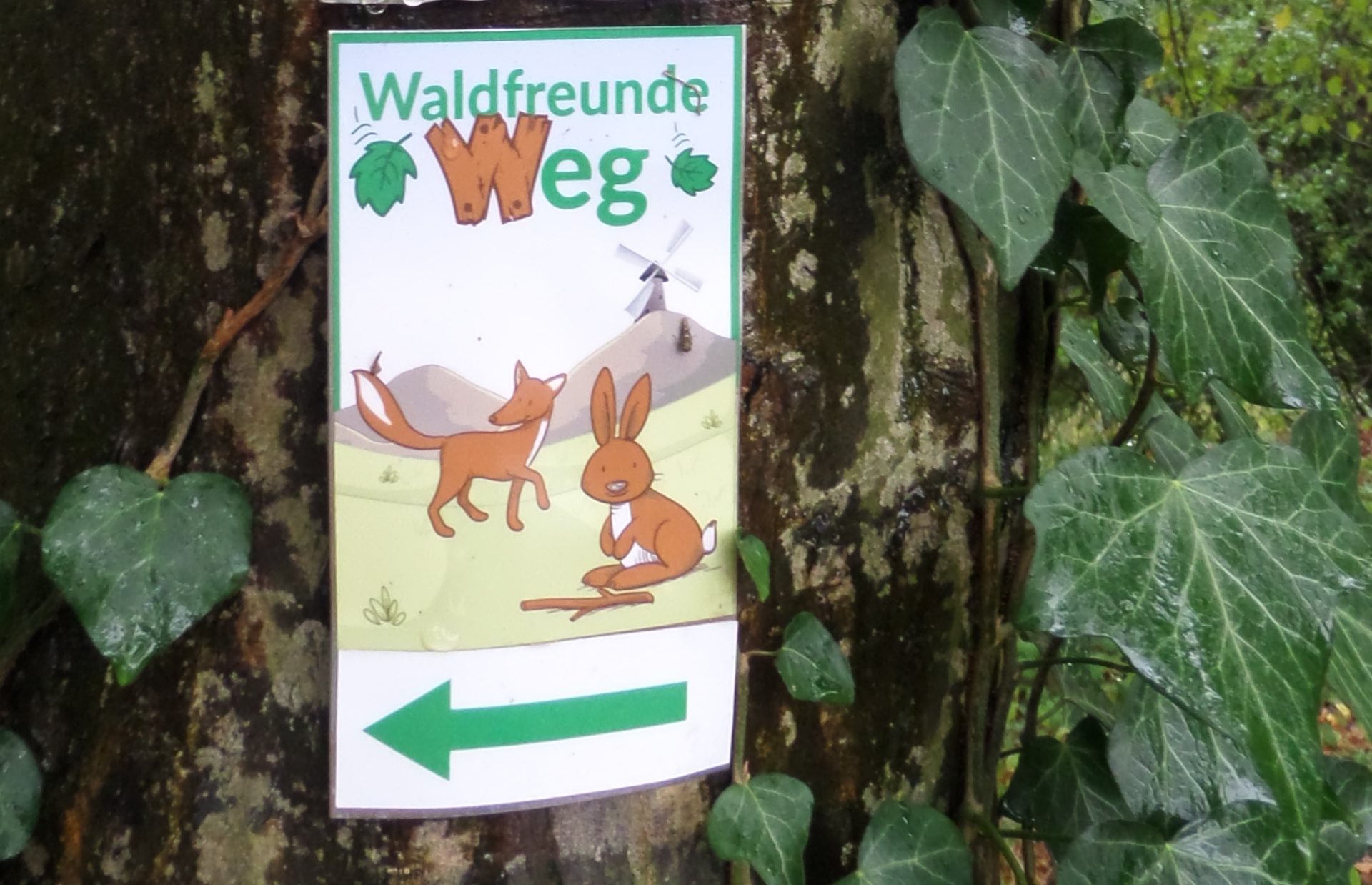 Schil und Wegweiser "Waldfreunde Weg" am Baum.