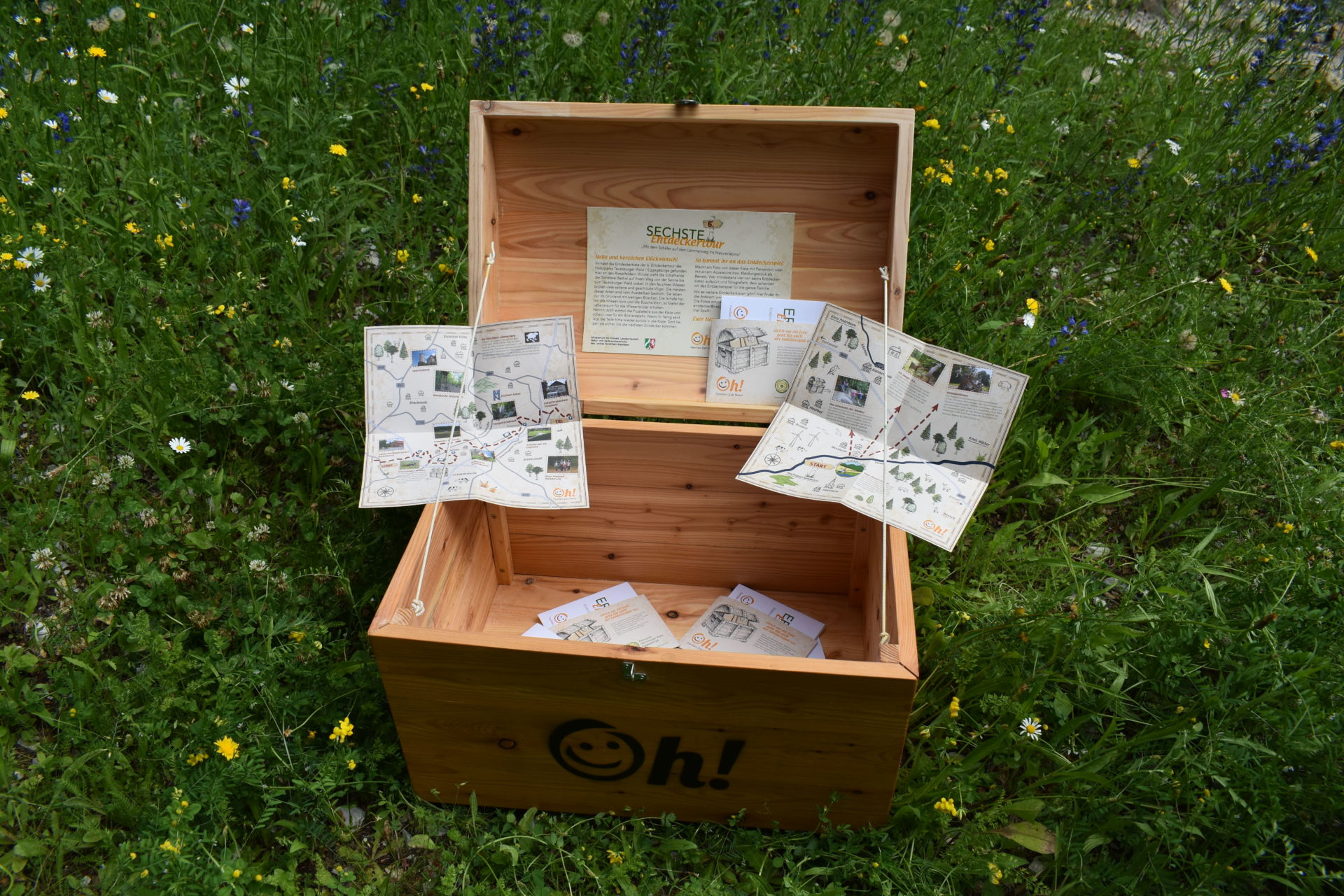 Schatztrue mit Entdeckerkarten des Naturpars auf einer grünen Wiese